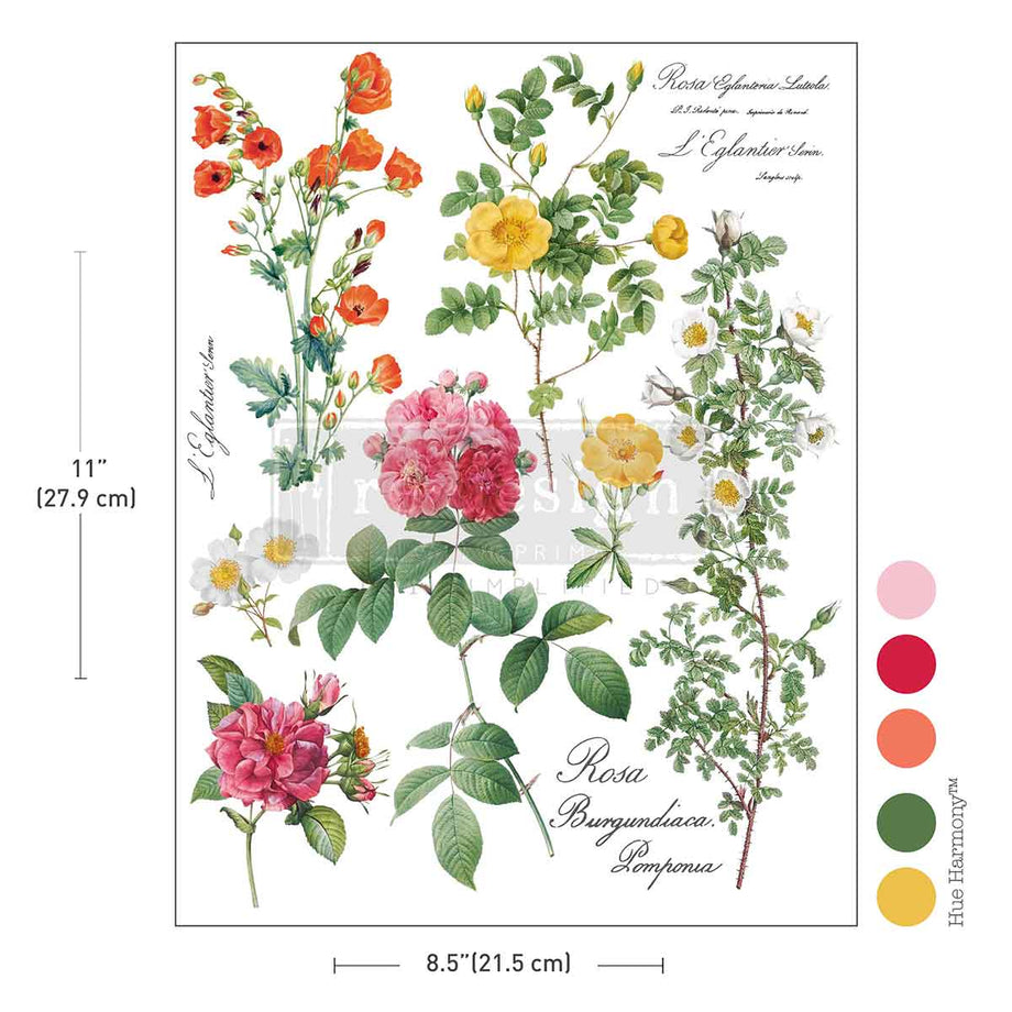 Redesign H2O Transfers – Water-Activated Designs for Any Surface! –  Decoupage Napkins.Com
