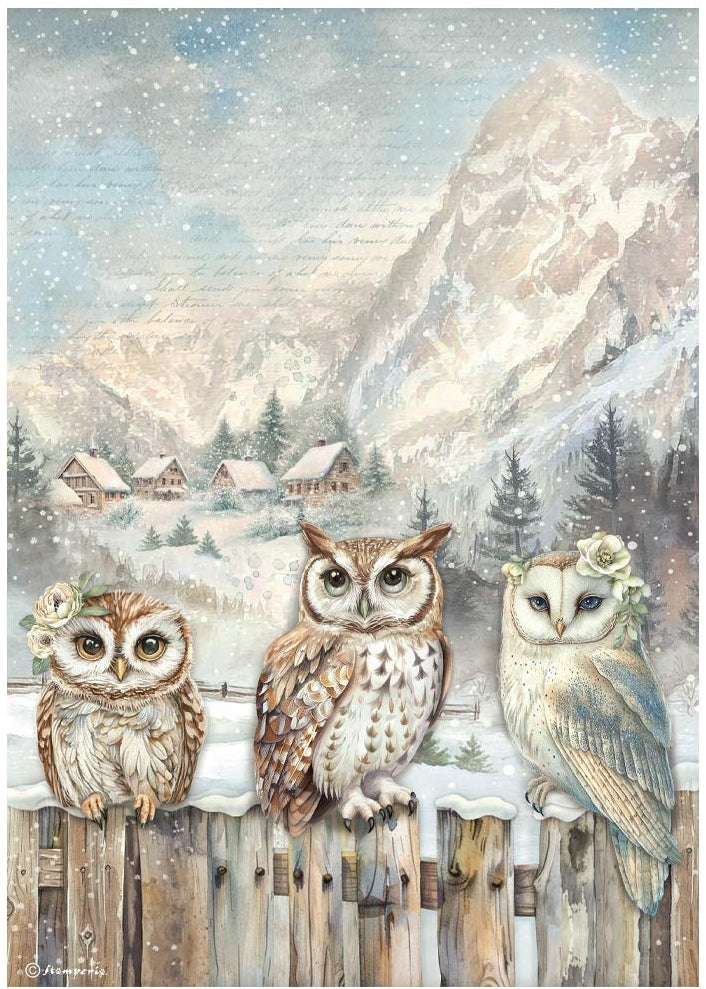 Three owls on a wooden fence with a snowy mountain landscape in the background