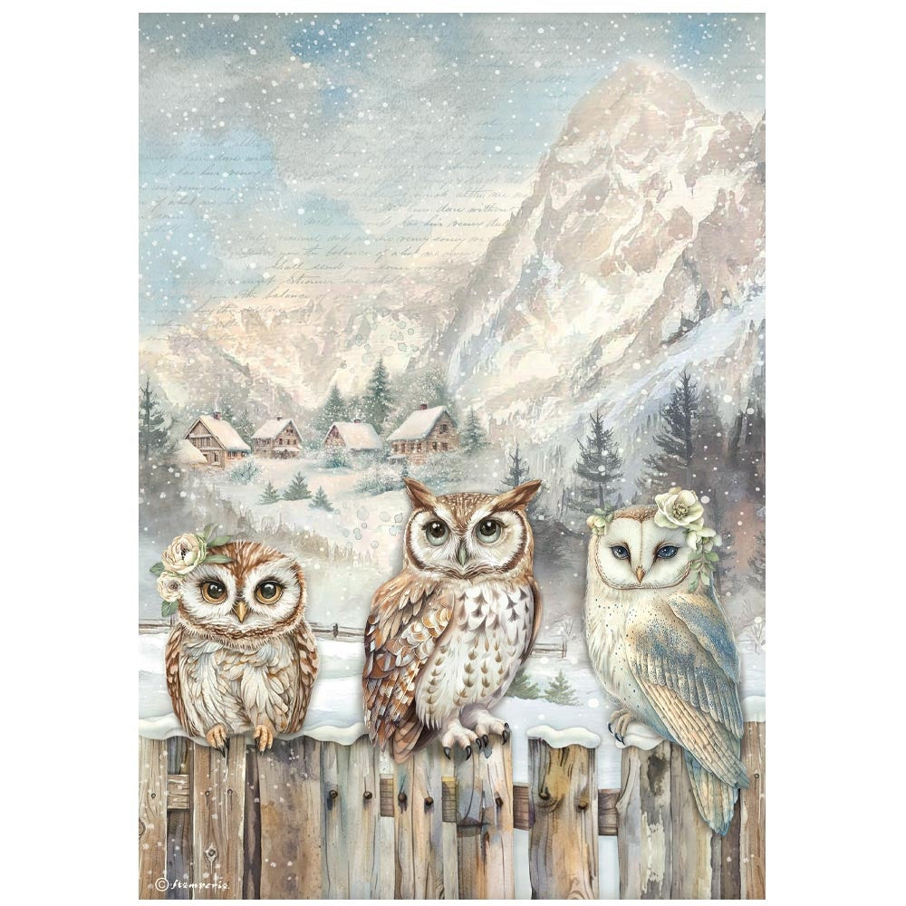 3 owls on fence in winter with mountain background
