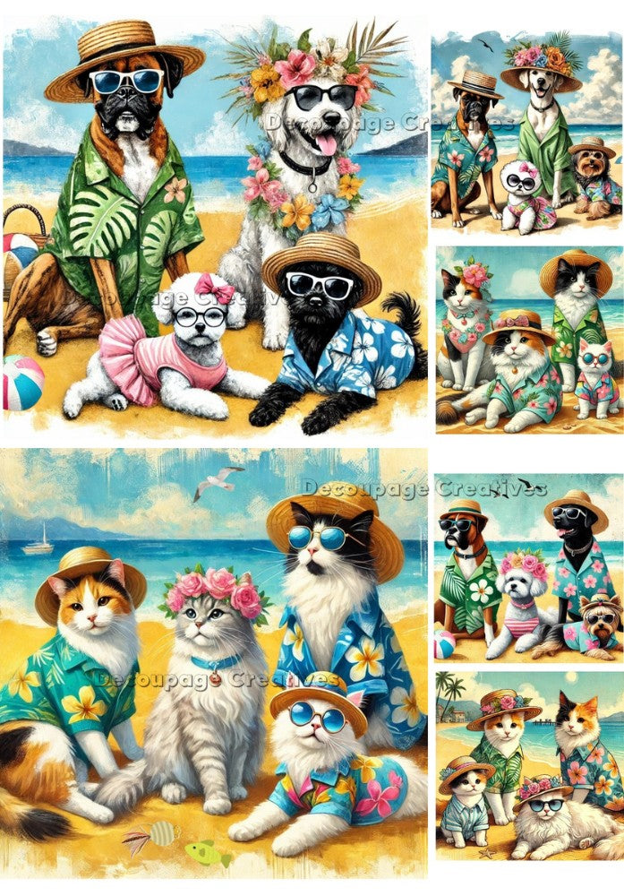 Collage of dogs and cats in summer attire on a beach.