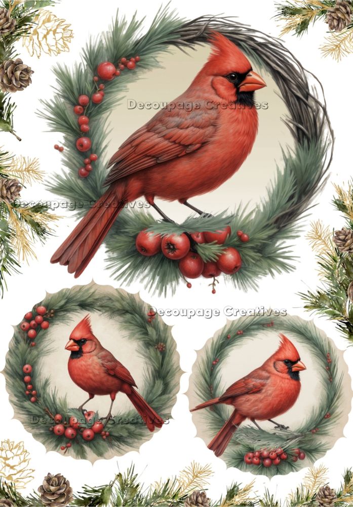 Red cardinals on a decorative background with pine cones and berries