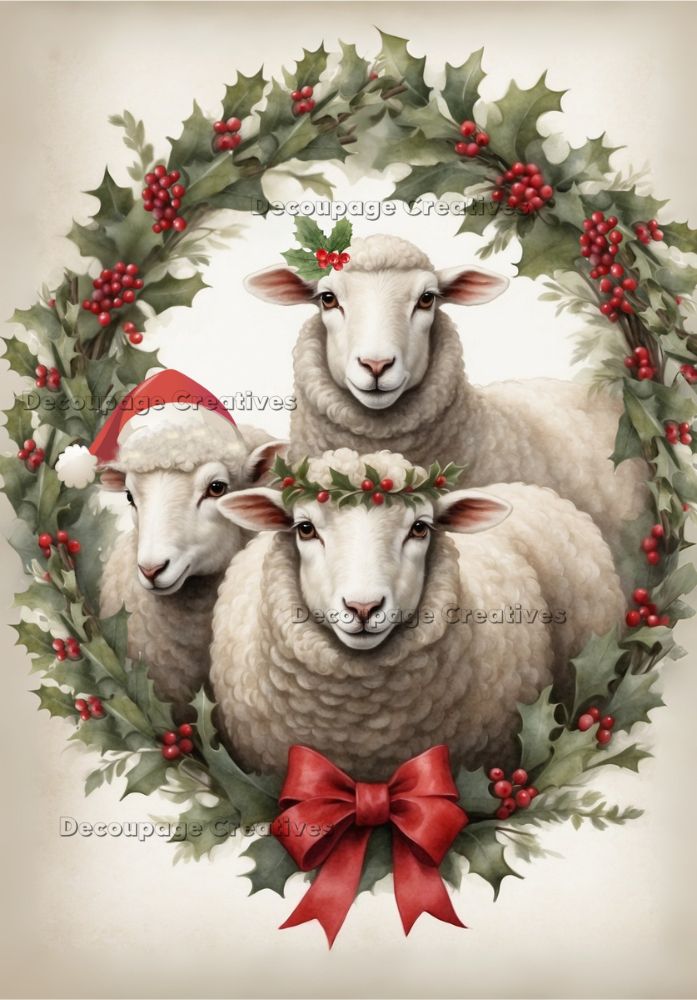 Three sheep in a wreath with holly leaves and berries, wearing Santa hats and wreaths.