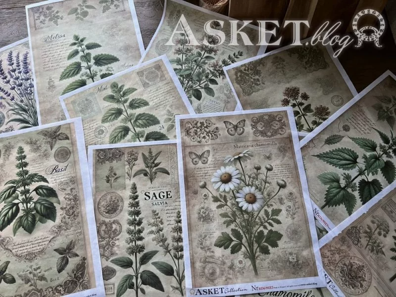 Collection of botanical-themed cards with plant illustrations and 'ASKET blog' branding.