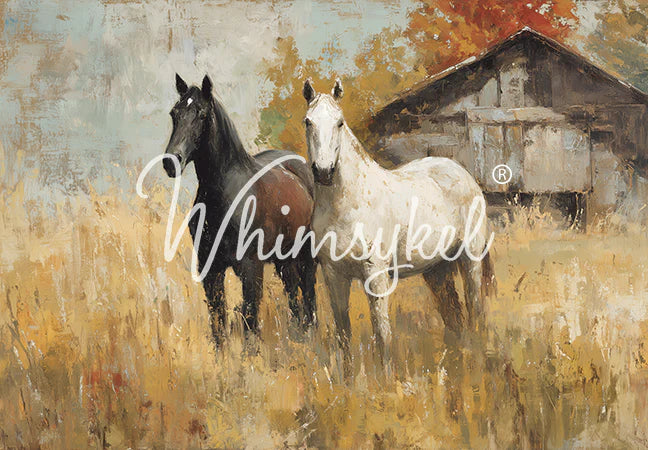 Two horses standing in a field with a barn in the background, featuring the brand 'Whimsykel'.