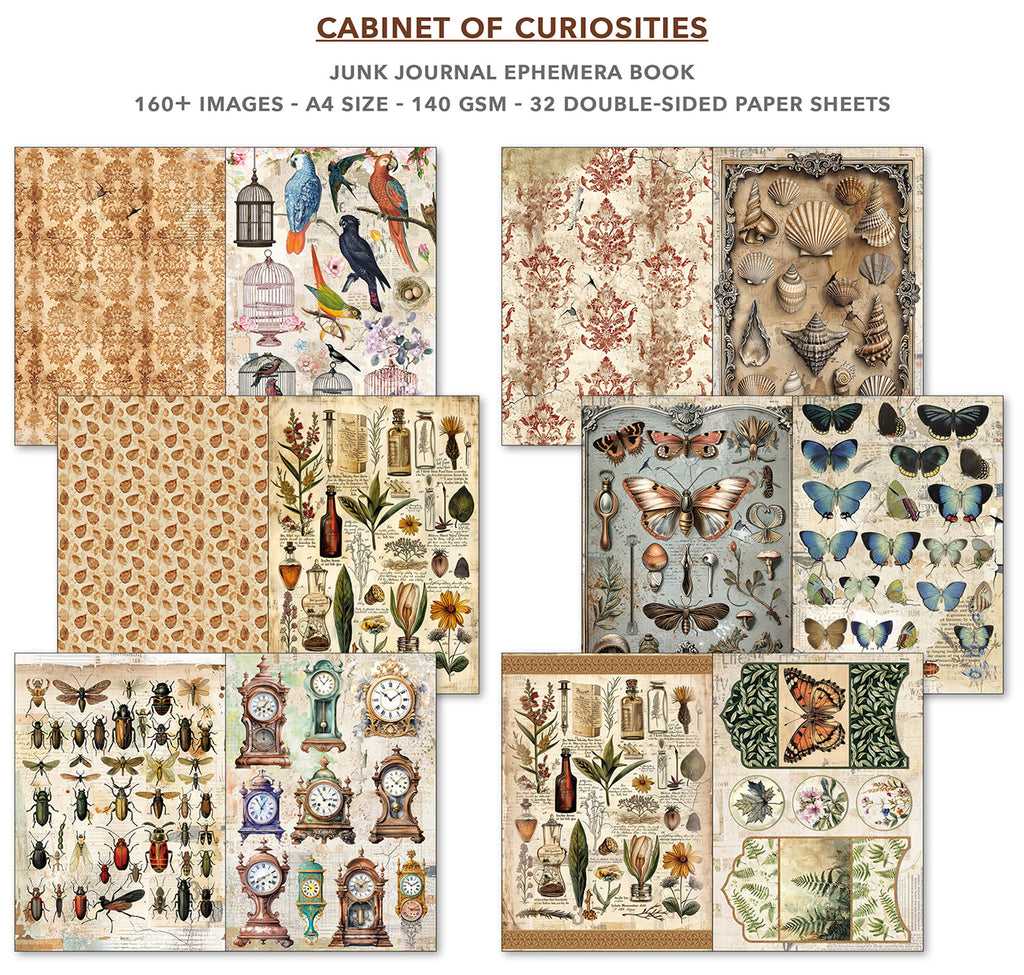 Cabinet of Curiosities 32 page Ephemera book and junk journal for scrapbooking. Featuring butterflies beetles and jars of flowers 