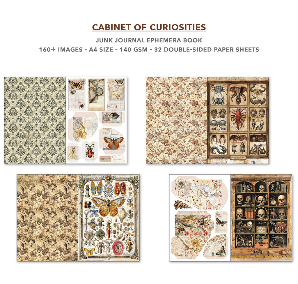 Cabinet of Curiosities 32 page Ephemera book and junk journal for scrapbooking. Featuring butterflies beetles and jars of flowers 