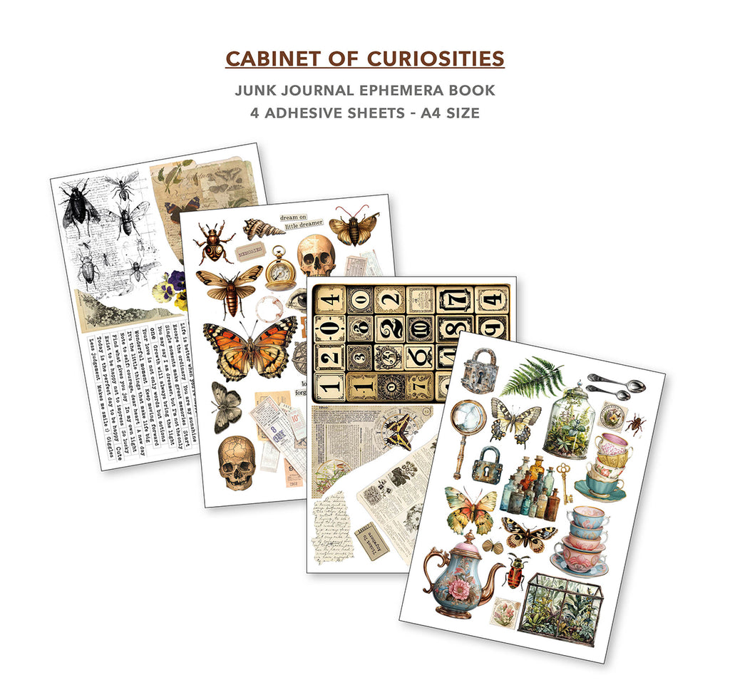 Cabinet of Curiosities 32 page Ephemera book and junk journal for scrapbooking. Featuring butterflies beetles and jars of flowers 
