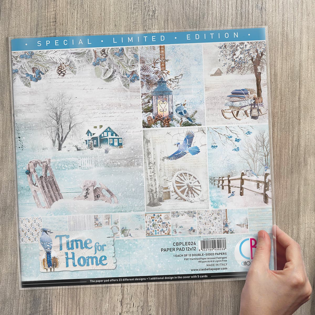 images of blue birds and blue farm house in white snow 12x12 Scrapbook Paper Pad for Decoupage
