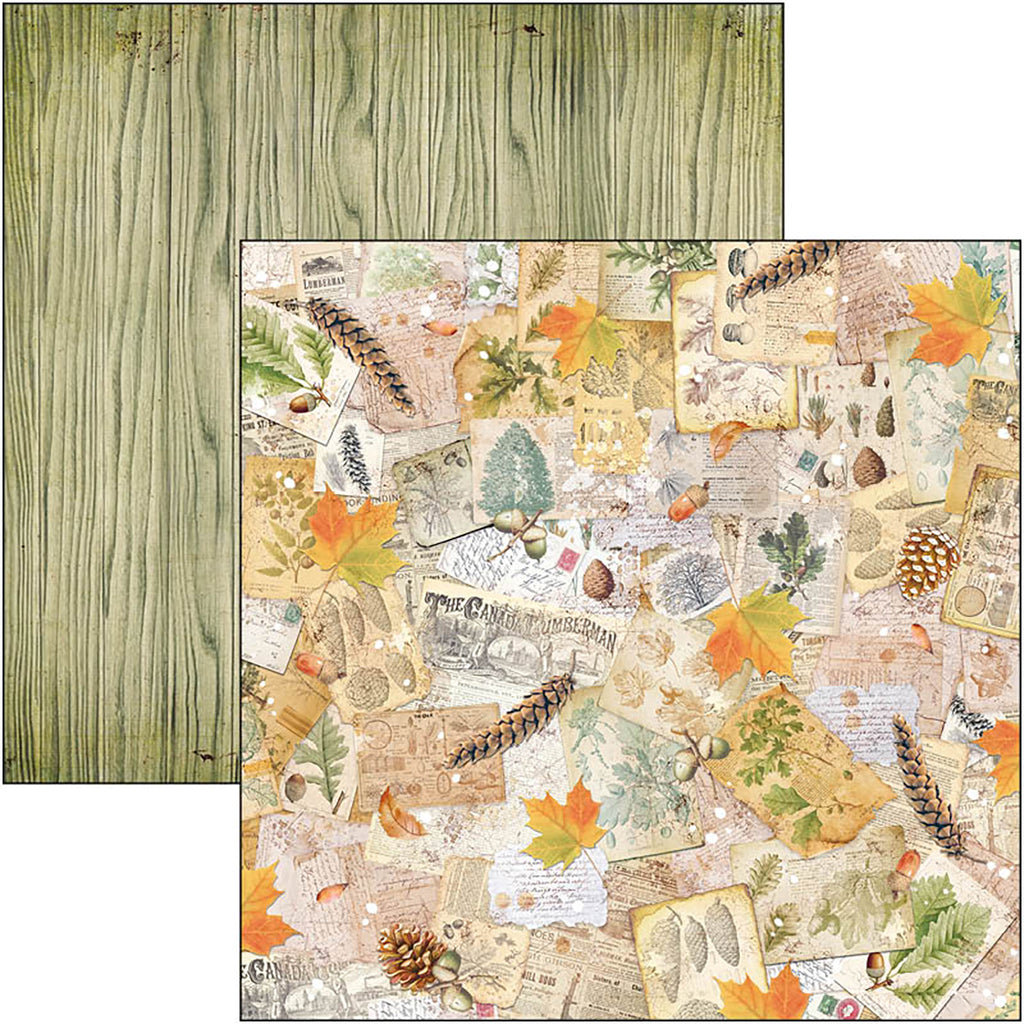 2 sheet Fall Scrapbook paper with squirrel nuts and deer from Ciao Bella