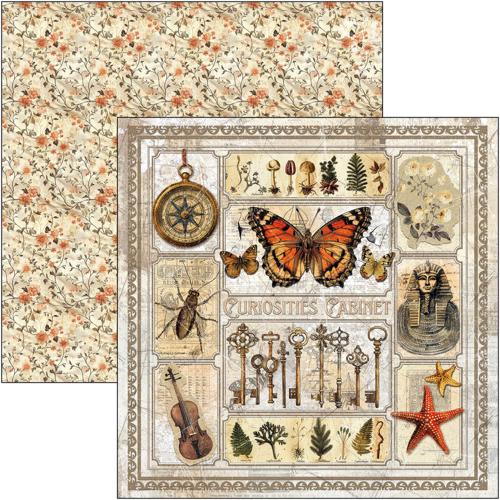 Cabinet of Curiosities 12x12 Scrapbook pad, 12 double sided papers. Insect and vintage theme.