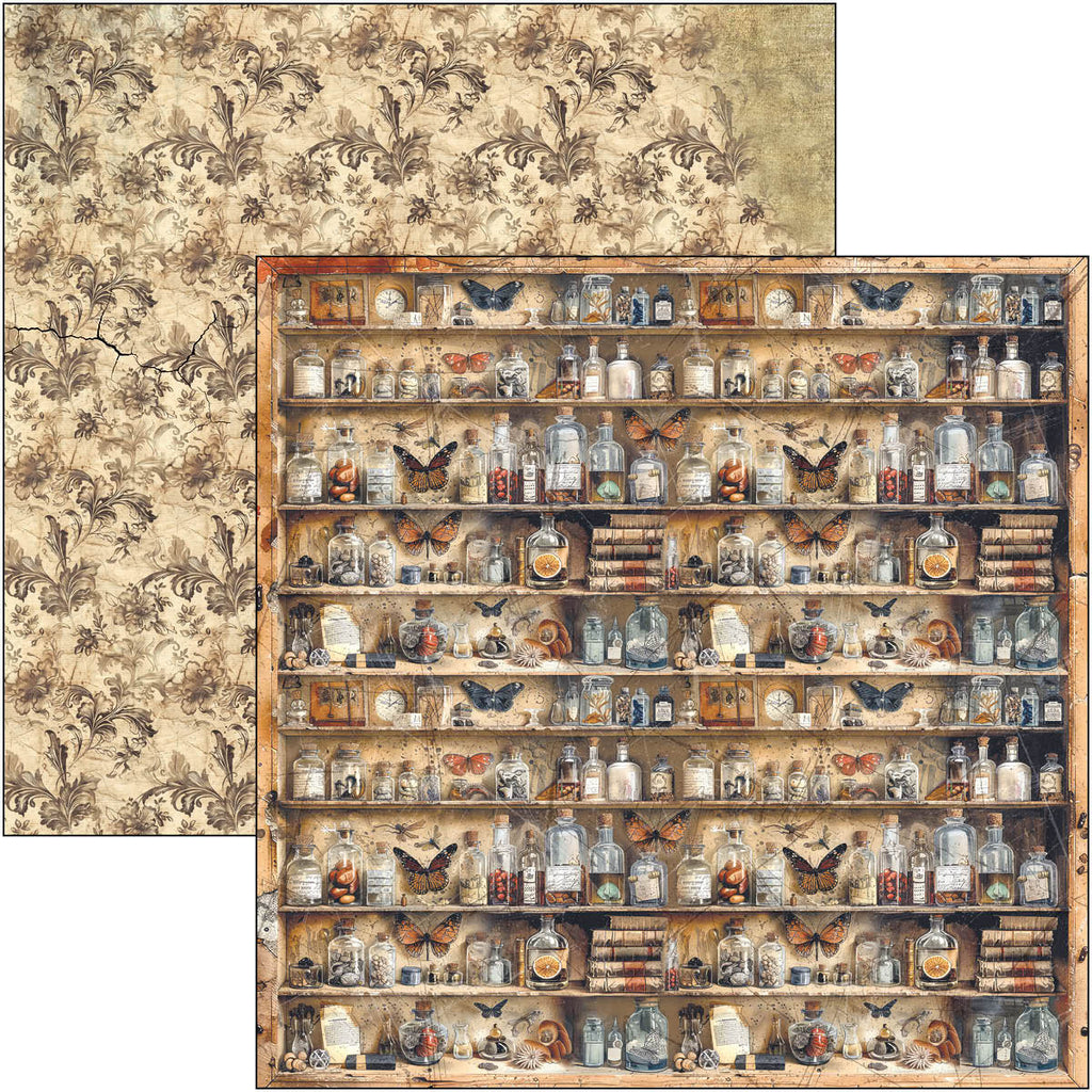 Cabinet of Curiosities 12x12 Scrapbook pad, 12 double sided papers. Insect and vintage theme.