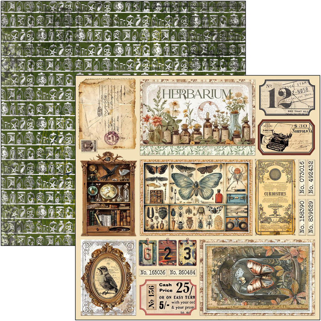 Cabinet of Curiosities 12x12 Scrapbook pad, 12 double sided papers. Insect and vintage theme.