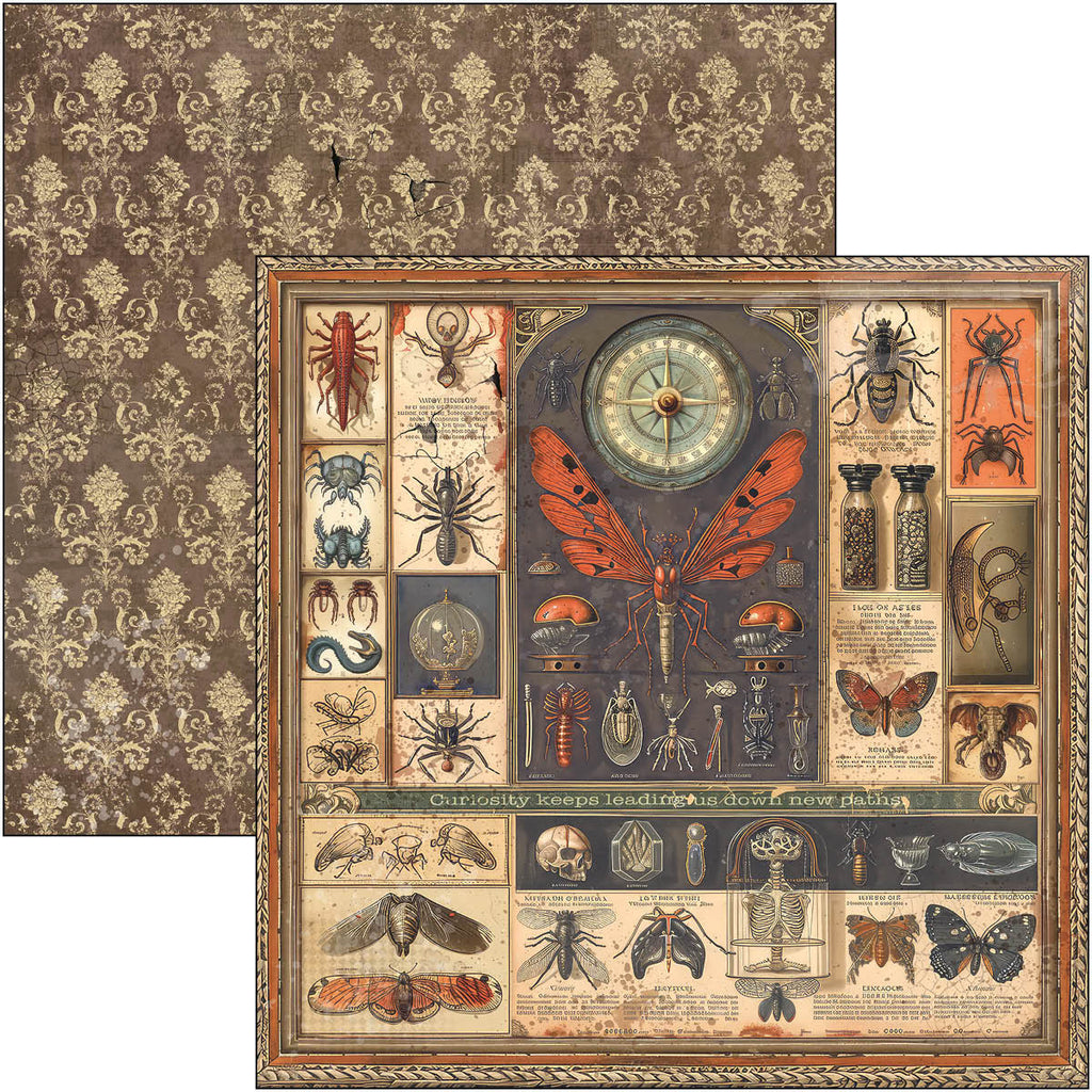 Cabinet of Curiosities 12x12 Scrapbook pad, 12 double sided papers. Insect and vintage theme.