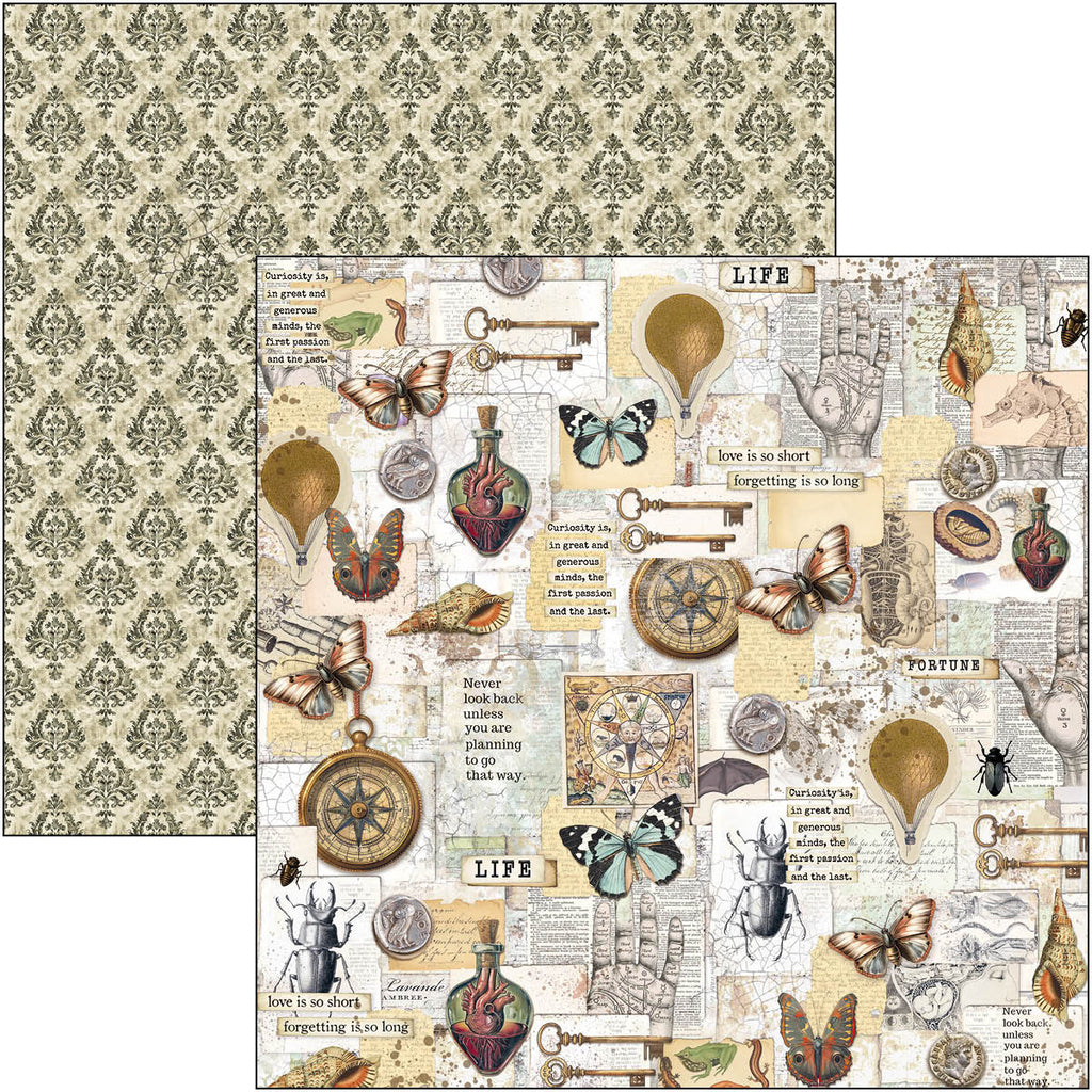 Cabinet of Curiosities 12x12 Scrapbook pad, 12 double sided papers. Insect and vintage theme.