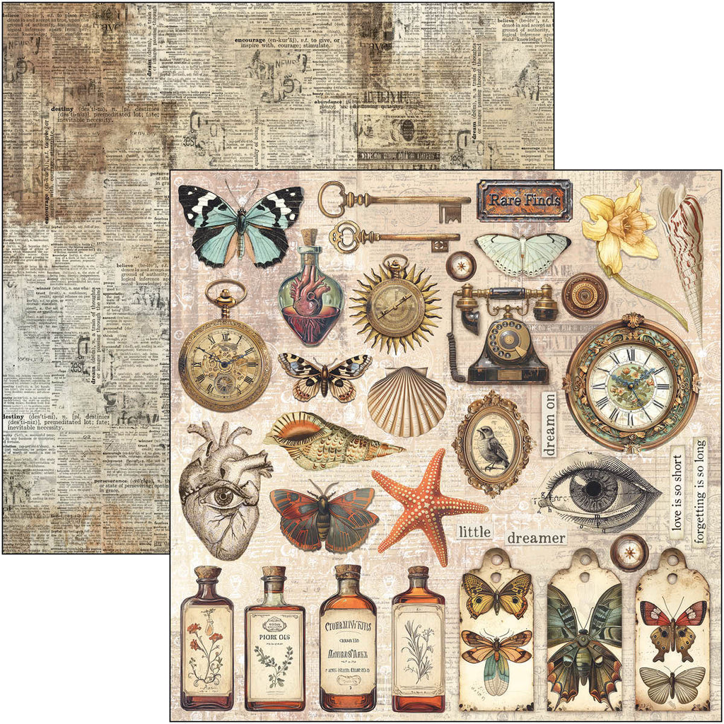 Cabinet of Curiosities 12x12 Scrapbook pad, 12 double sided papers. Insect and vintage theme.