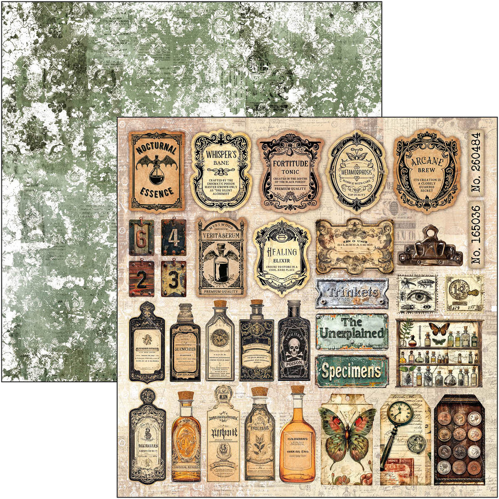 Cabinet of Curiosities 12x12 Scrapbook pad, 12 double sided papers. Insect and vintage theme.