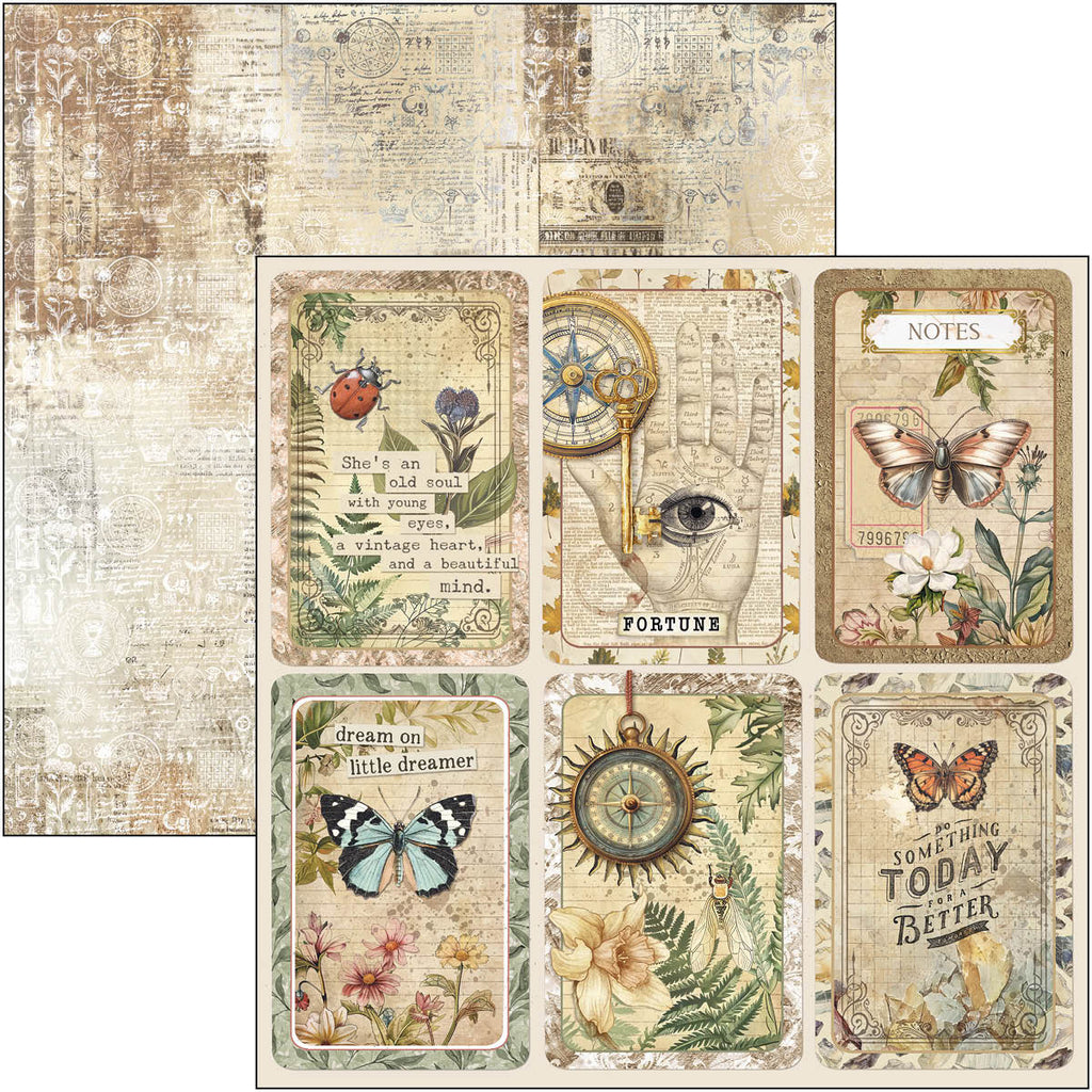 Cabinet of Curiosities 12x12 Scrapbook pad, 12 double sided papers. Insect and vintage theme.