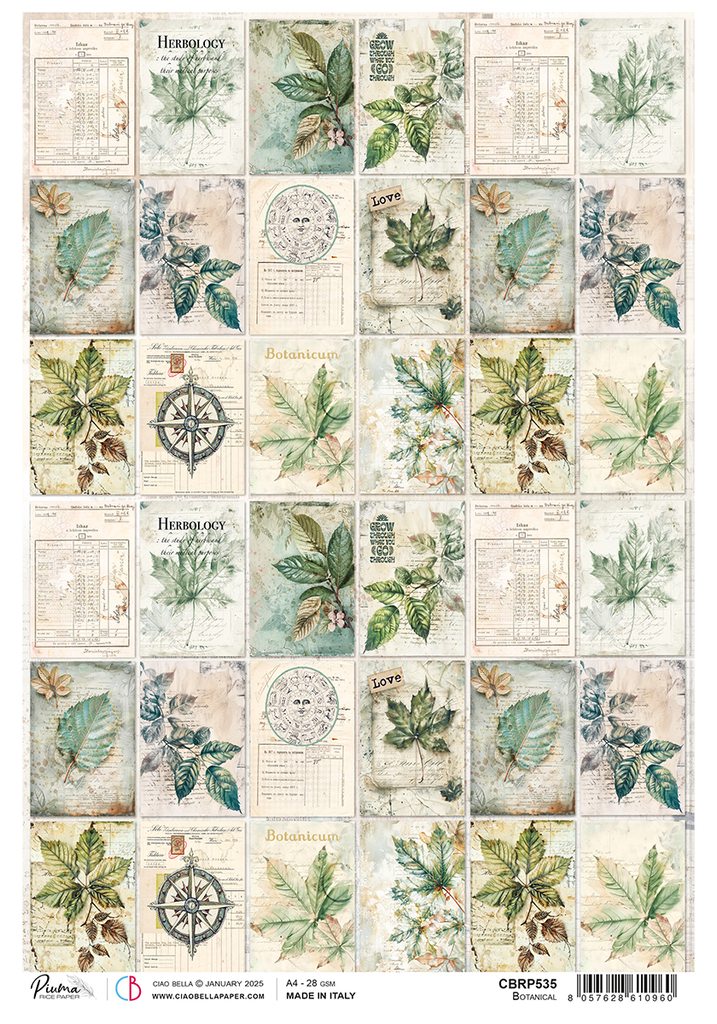 multiple images with leaves on script background with vintage receipts rice paper from Ciao Bella