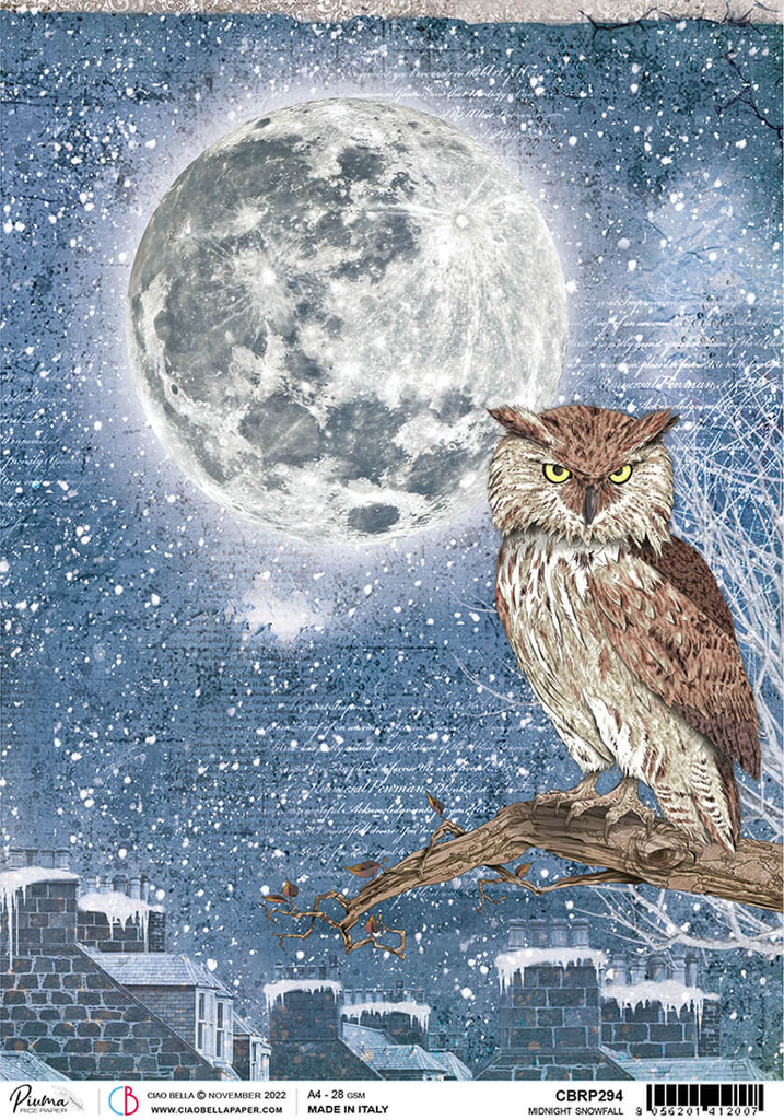 Brown owl at night with silvery moon in the snow A4 Rice paper for Decoupage