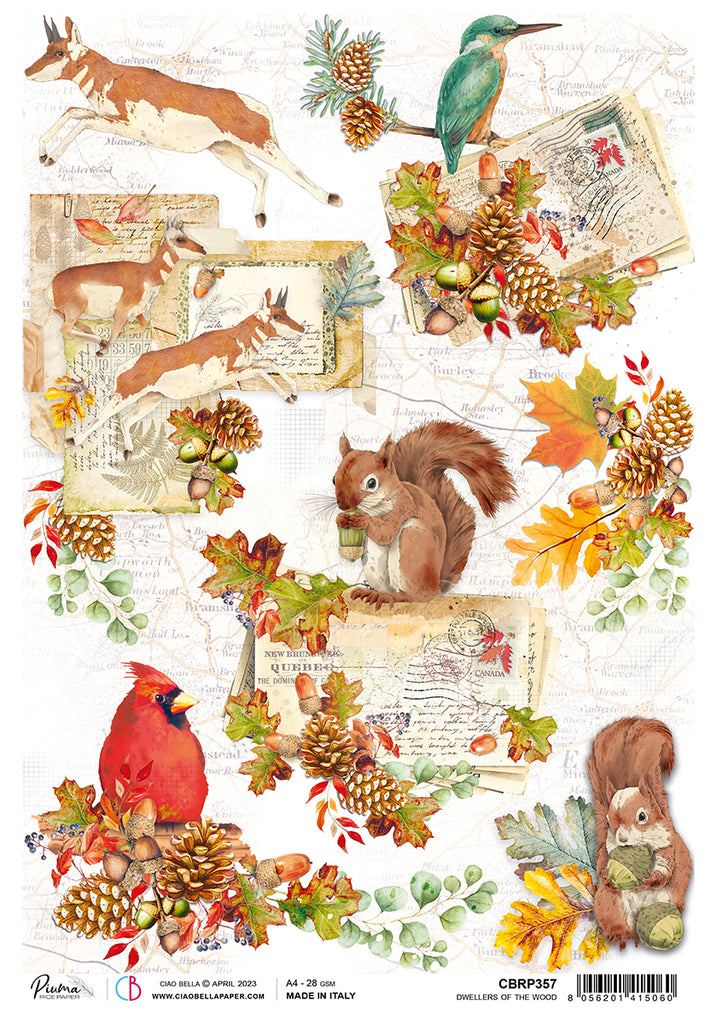 Wildlife and autumn motifs on vintage letters; Decoupage Paper from Ciao Bella.
