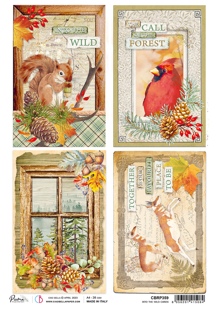 Wildlife and nature-themed frames and panels; Decoupage Paper from Ciao Bella.