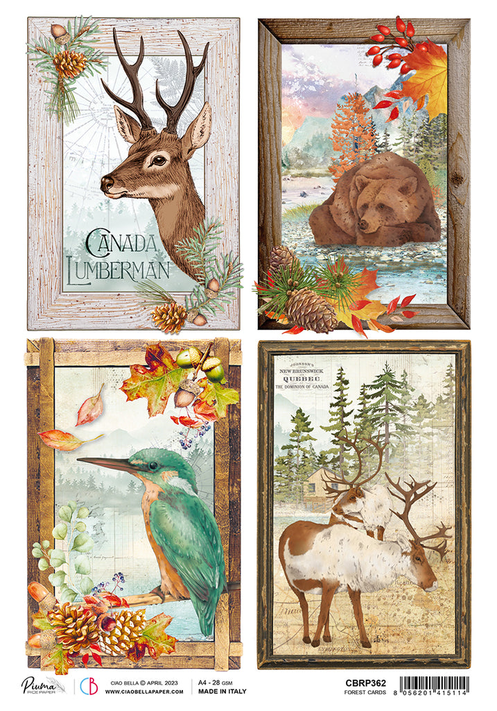 Canadian wildlife and nature scenes; Decoupage Paper from Ciao Bella.