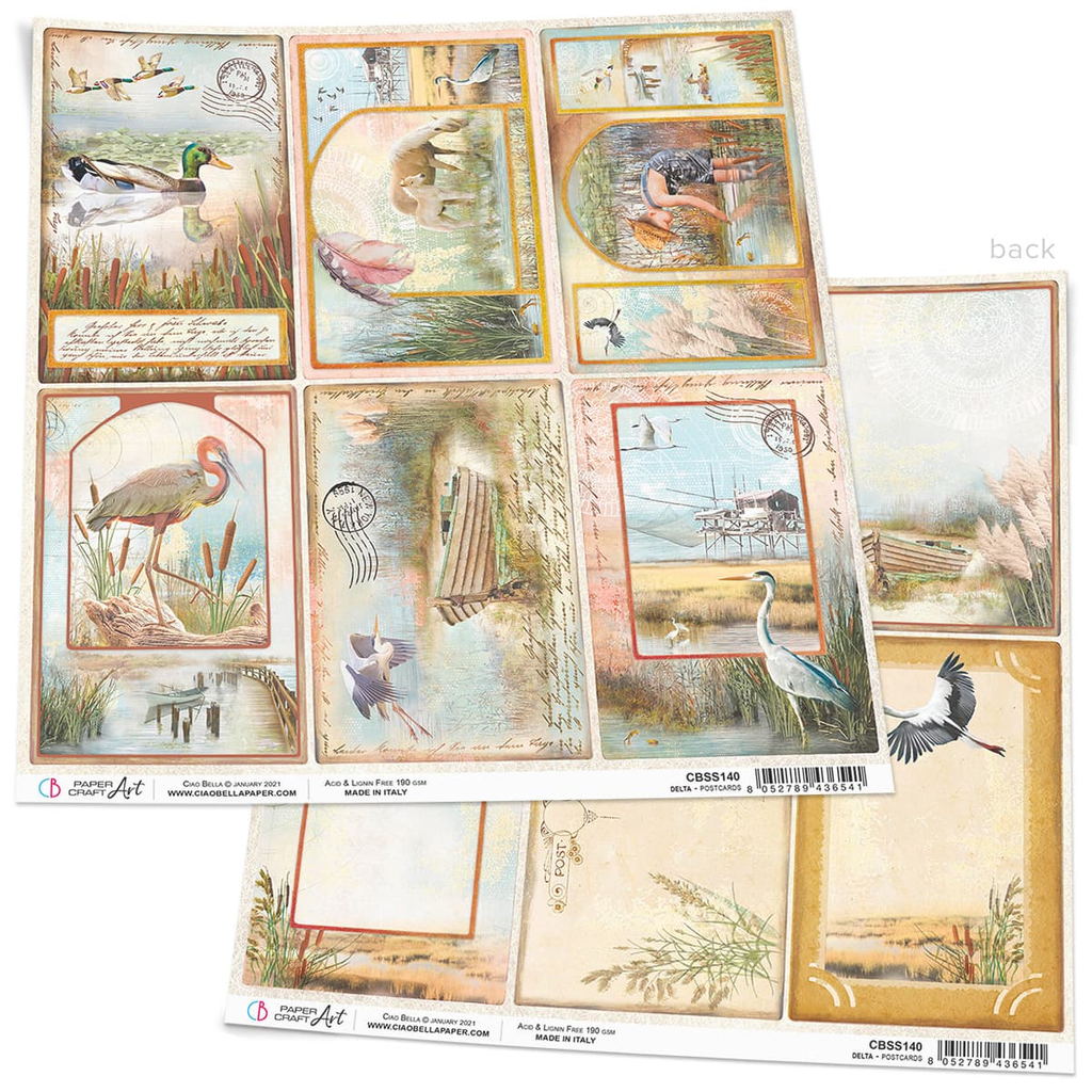 card stock with images of Mallard Ducks, flamingos, and other water fowl Ciao Bella 12x12 Scrapbook Paper for Decoupage