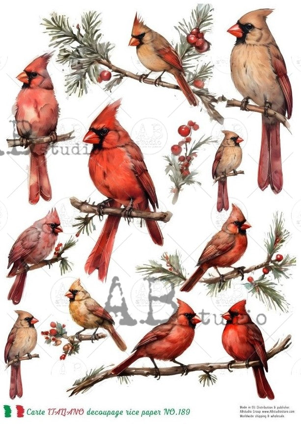 Multi images of red cardinals, male and female on pine branches. AB Studio A4 Rice Paper for Decoupage art.