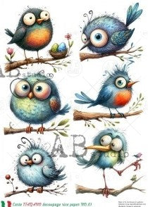 Cartoon Birds One #CARTE-61