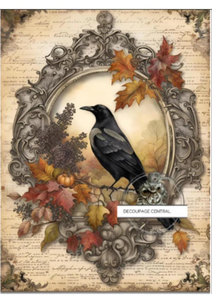 Black crow in vintage frame. A4 size Decoupage Paper from Decoupage Central for DIY Crafts and mixed media art.