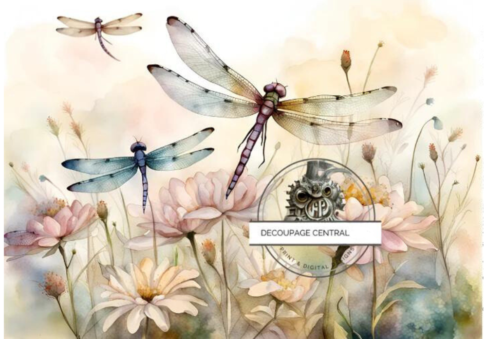 3 Blue and pink Dragonflies in field of peach and pink flowers.