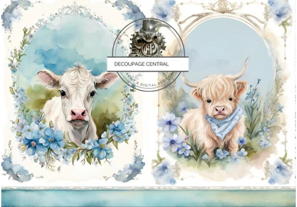 Two images of baby cows in frames with blue and white flowers. Decoupage Central A4 Decoupage Paper for crafting.