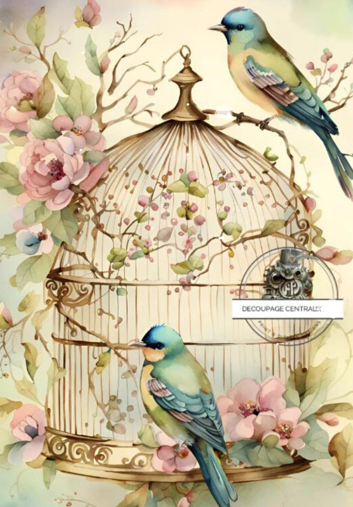 2 blue green birds on vintage birdcage with flowers. Decoupage Central rice paper.