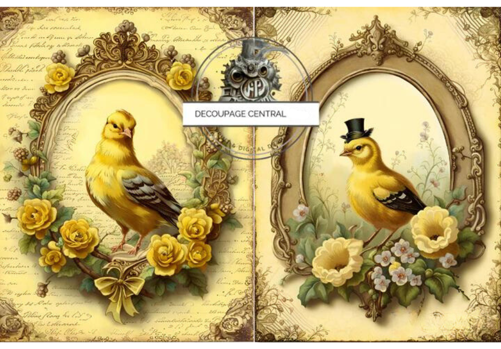 Two images of goldfinch birds in frame with yellow flowers. Decoupage Central A4 Decoupage Paper for crafting.