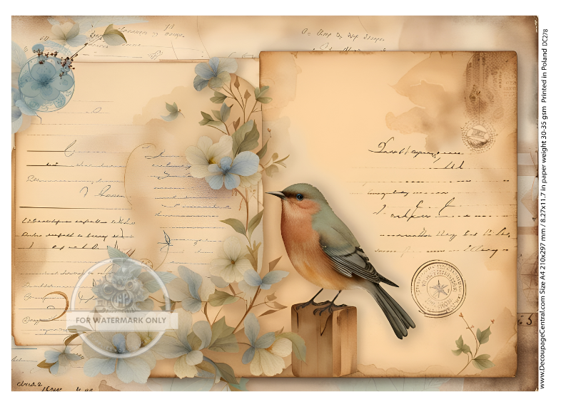 Orange breasted robin on parchment vintage background. A4 Rice paper for decoupage.