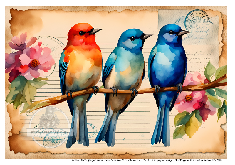 3 colorful birds on parchment vintage background. A4 rice paper for decoupage.
