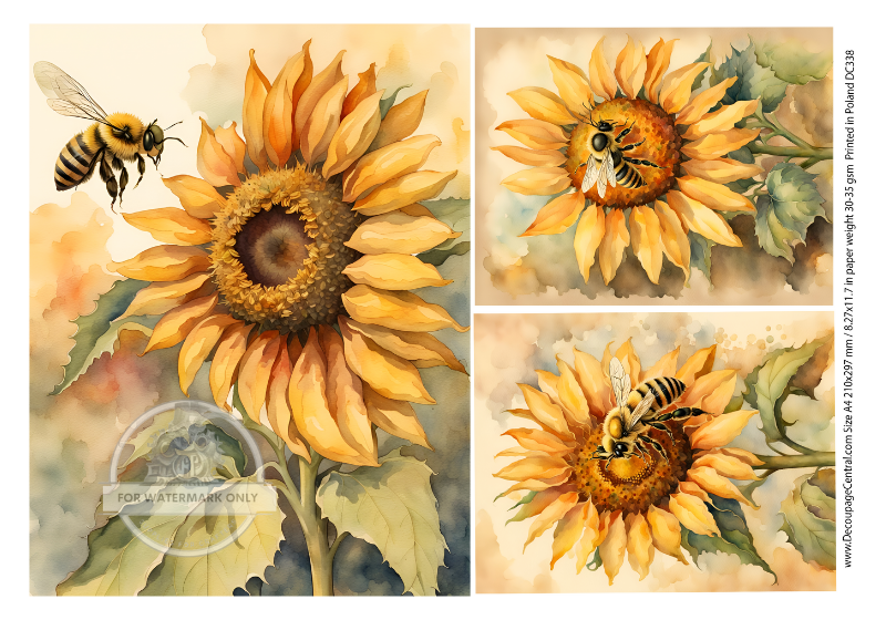 3 images of Sunflower with a single bee on top. Decoupage Central A4 Rice Paper for decoupage art and scrapbooking.