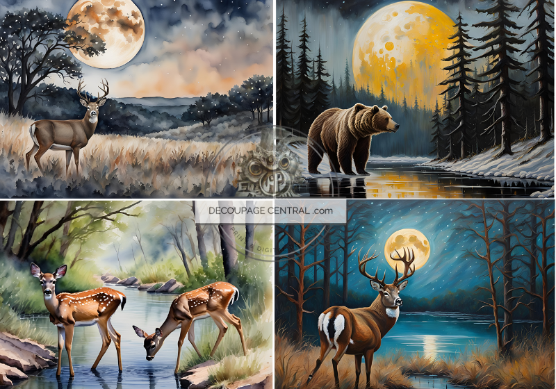 forest animals at night , bear, deer and stags Decoupage Central rice paper
