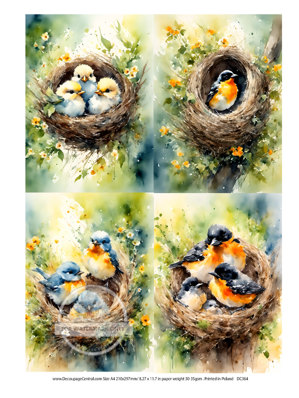 Four images of colorful orange breasted birds in nests. Decoupage Central A4 Rice Paper for decoupage art and scrapbooking.