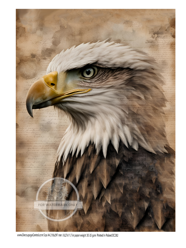 Large portrait of American eagle on sepia background. Decoupage Central A4 Rice Paper for decoupage art and scrapbooking.