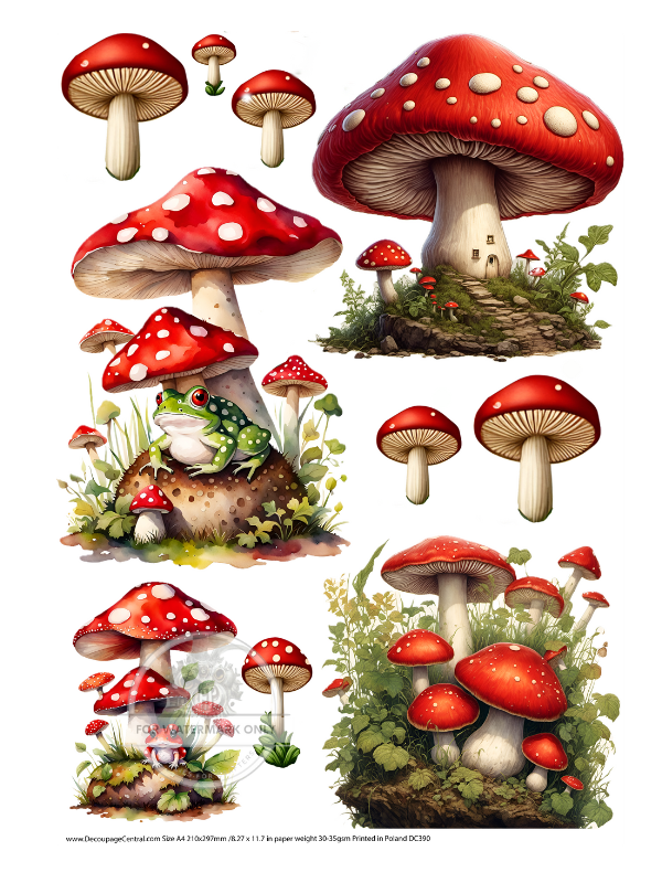 red and white mushrooms and green frog Decoupage Central Rice Paper