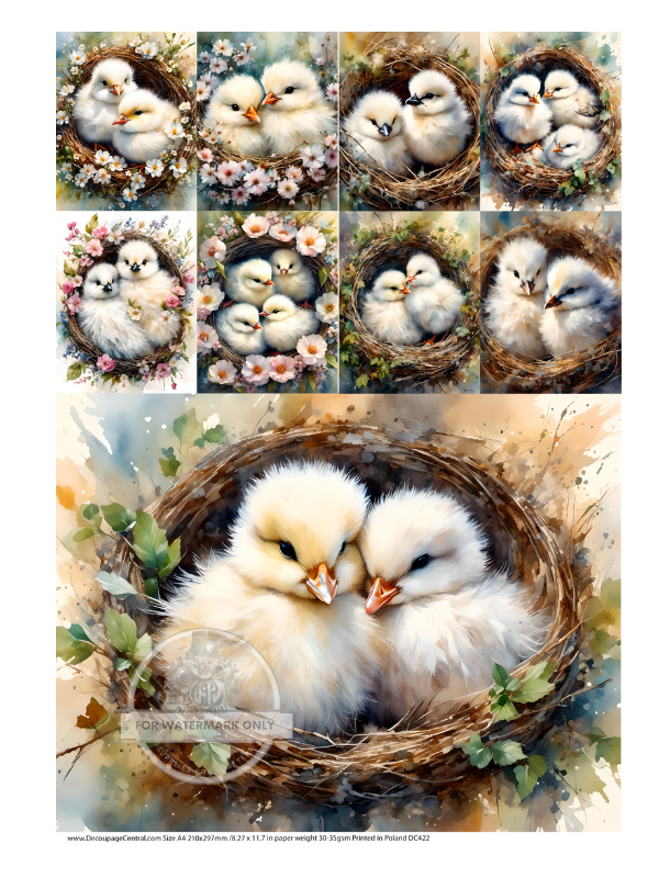 baby chick in a nest with flower blossoms Decoupage Central Rice Paper