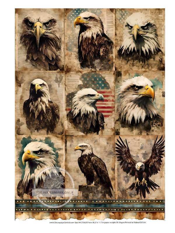 9 Panels of Bald Eagles on vintage Parchment and flags Decoupage Central Rice Paper