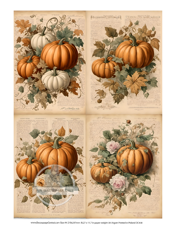 orange pumpkins and pink flowers Rice Paper from Decoupage Central