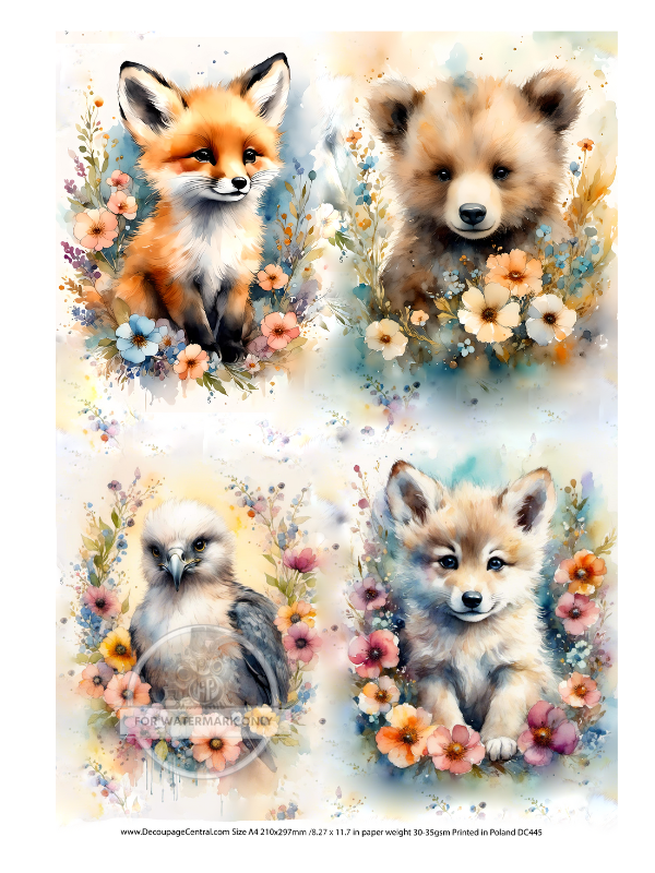for panes with a red fox, bear cub, eagle chick and wolf pup in floral wreaths Decoupage Central Rice Paper