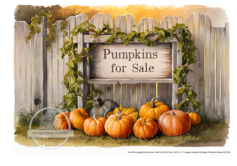 pumpkins for sale by whtie fence Rice Paper from Decoupage Central