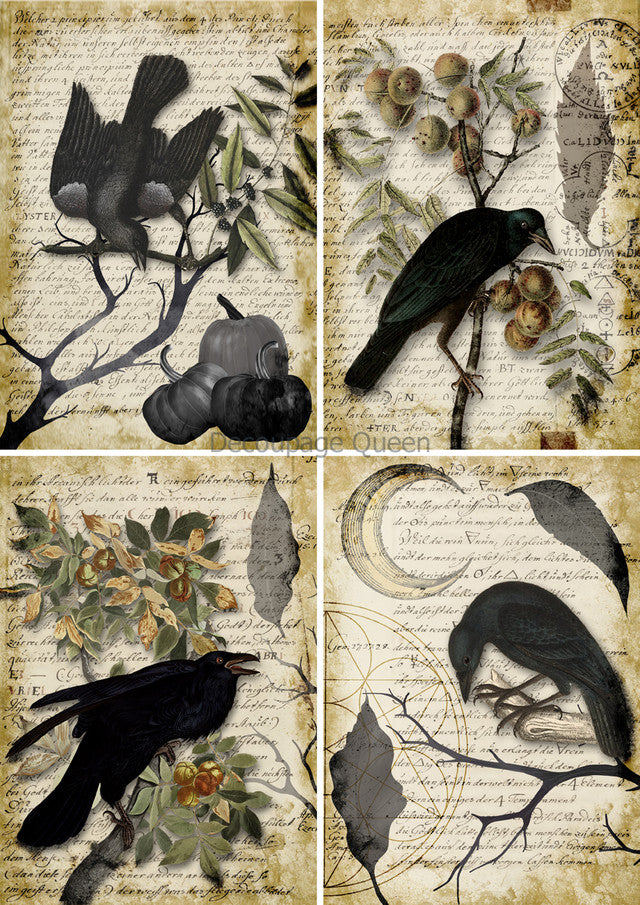 Raven birds in four fall scenes Rice Paper by Decoupage Queen