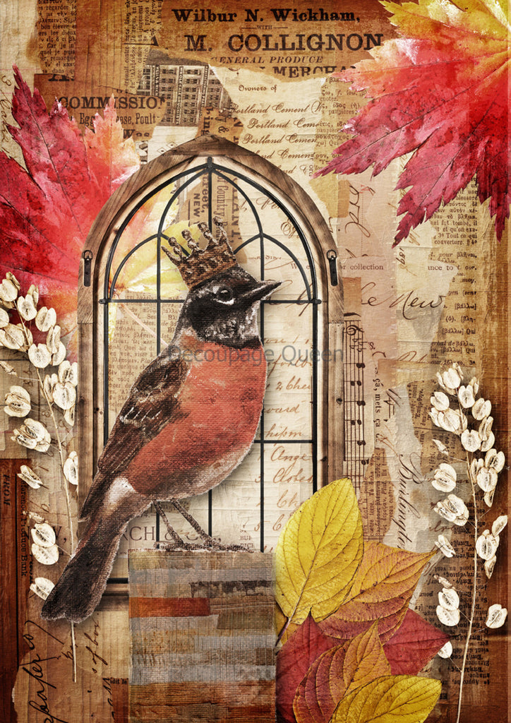 Red breasted Robin bird wearing crown on head with fall leaves Rice Paper by Decoupage Queen