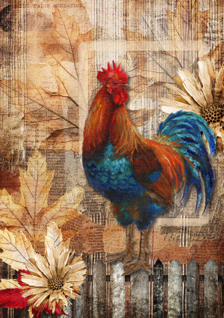 Blue and orange colorful rooster on leaves design Rice Paper by Decoupage Queen