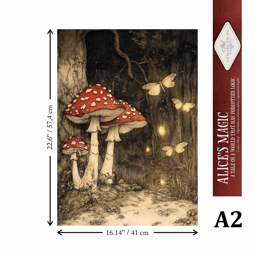 Illustration of mushrooms and butterflies with dimensions and 'Alice's Magic' branding.
